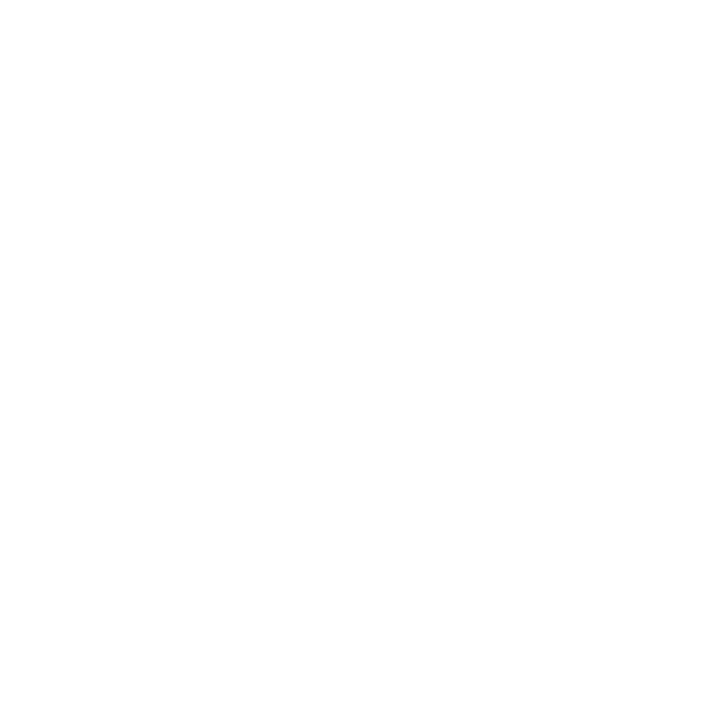 franchise investing